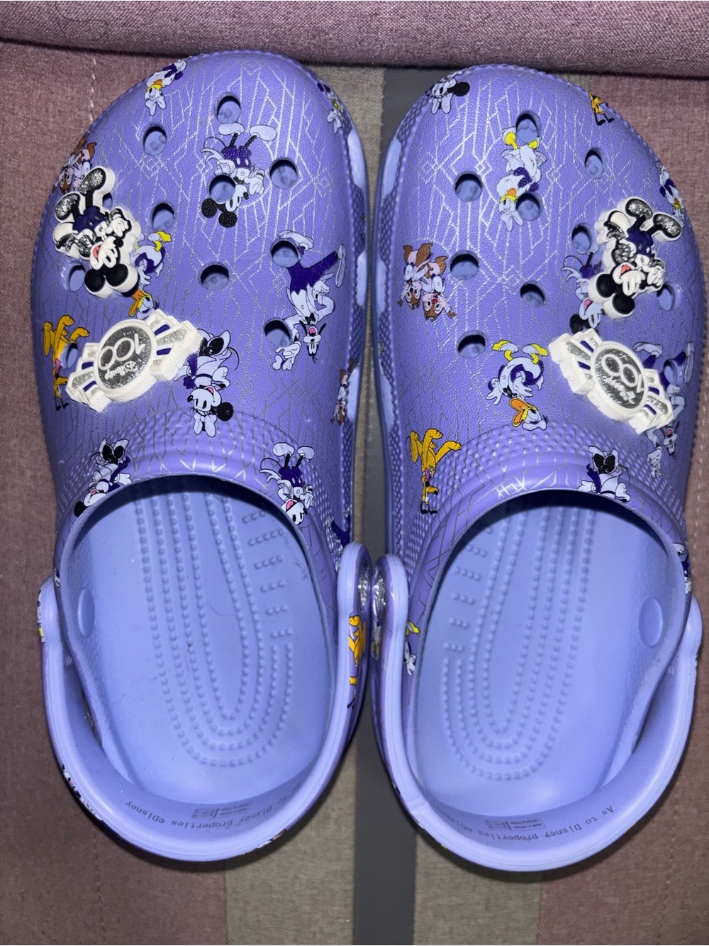 CROCS -  DisneyParks 100 Years